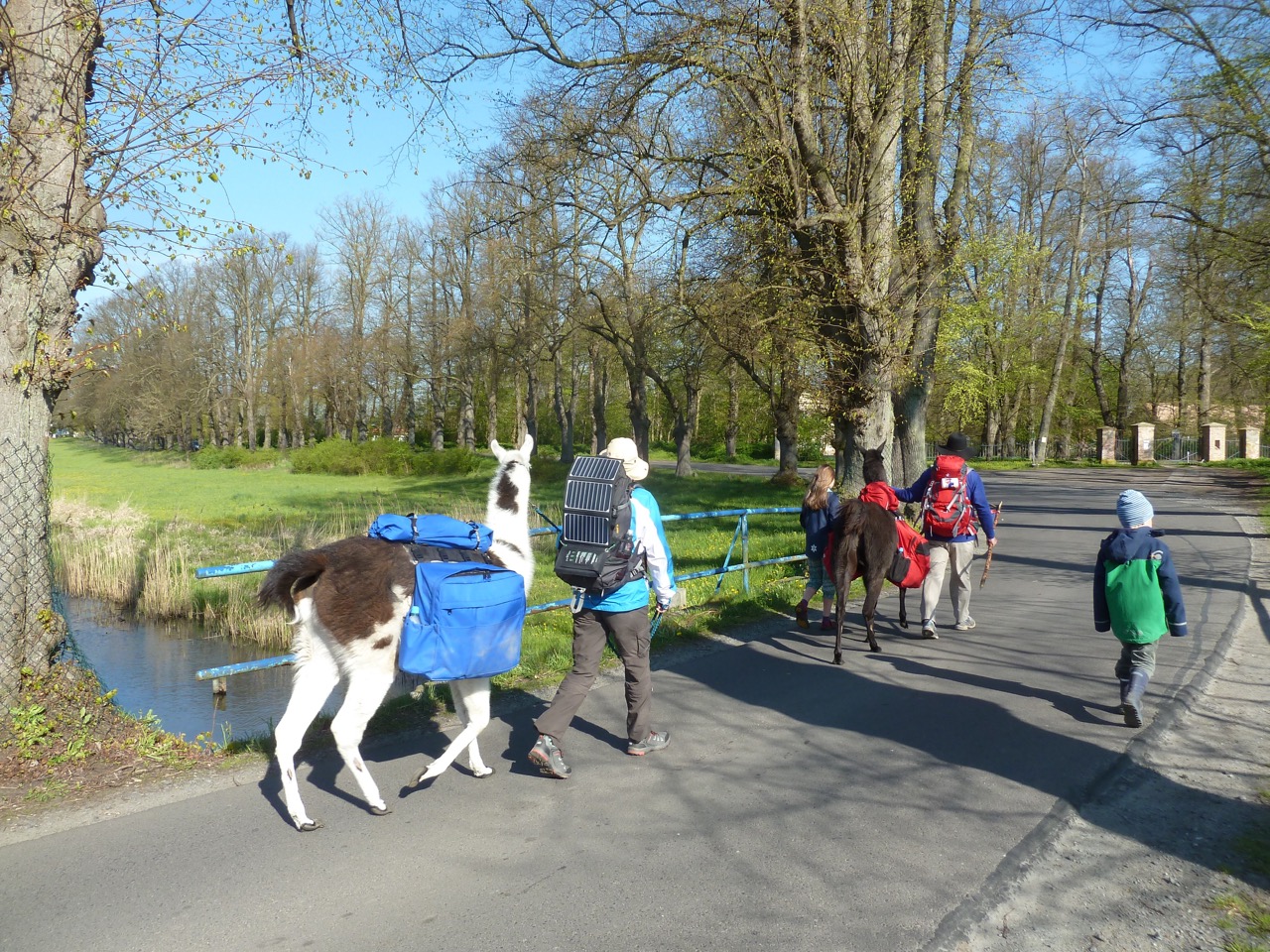 Pilgerschappschuss