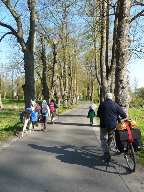 Pilgerschappschuss