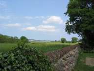 Steinmauer um St. Nikolai mit Blick zur Peene